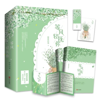 2 Книги/комплект Дън Фън Цин Фу Ни Оригинален роман Джи Джи Де Мао Творби Младежки кампус Романтичен роман Китайска художествена книга